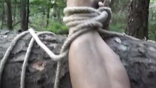 El lado oscuro del bosque -  parodia porno de terror