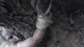 El lado oscuro del bosque -  parodia porno de terror