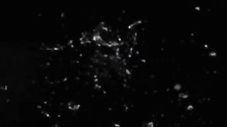 Movie Riley Steele Love Fool sub