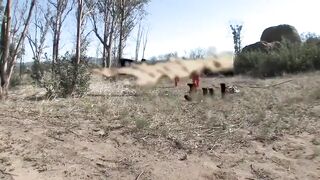 Amber Rayne, negros bastardos se cojen sin piedad a basura blanca salida de prisión
