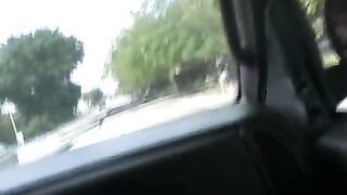 Amber, zorra en muletas termina con algo más que el tobillo roto