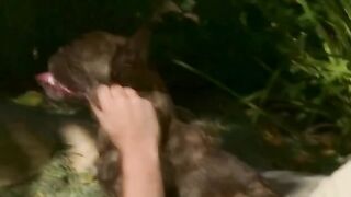 Precaucion!!!! Treintañeras americanas en accion