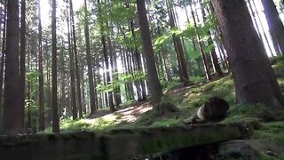 Recorrido  al desnudo