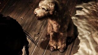 Animación Hentai 3D. Las aventuras de Kamari, sueños empapados de cerveza