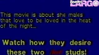 Película vintage TRANSEXUAL. Kelly Michaels