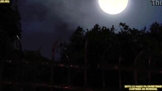 El cautivó 3D sub español latino HD