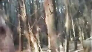 Orgía TRANSEXUAL en el bosque. Película completa Brasileña