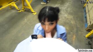 Latina Lola Morena trío en la fábrica TRANS