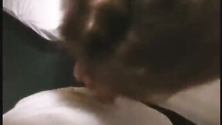 Torbe pilladas maduras