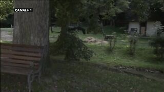 La vida de una granjera bien buena ( orgia campestre )