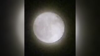 Vampiros sexuales 2  1999 . Película completa vintage Español