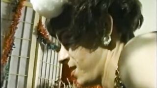 Navidad vintage TRANS