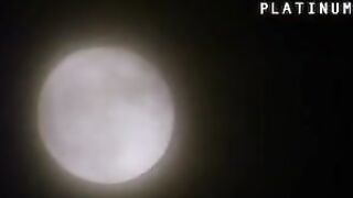 Vampira , abierta hasta el amanecer