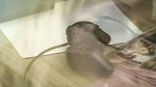 Sacrificio,  maternal