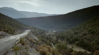 Y tu mamá  también