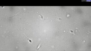 The scientist of my stepmother needs my sperm.  (SUB)