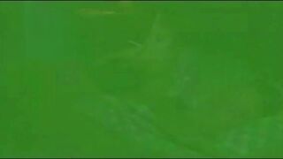 Historias morbosas 1,2 & 3.