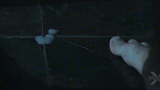 Alexis Fawx - deseos prohibidos parte 1, sub español