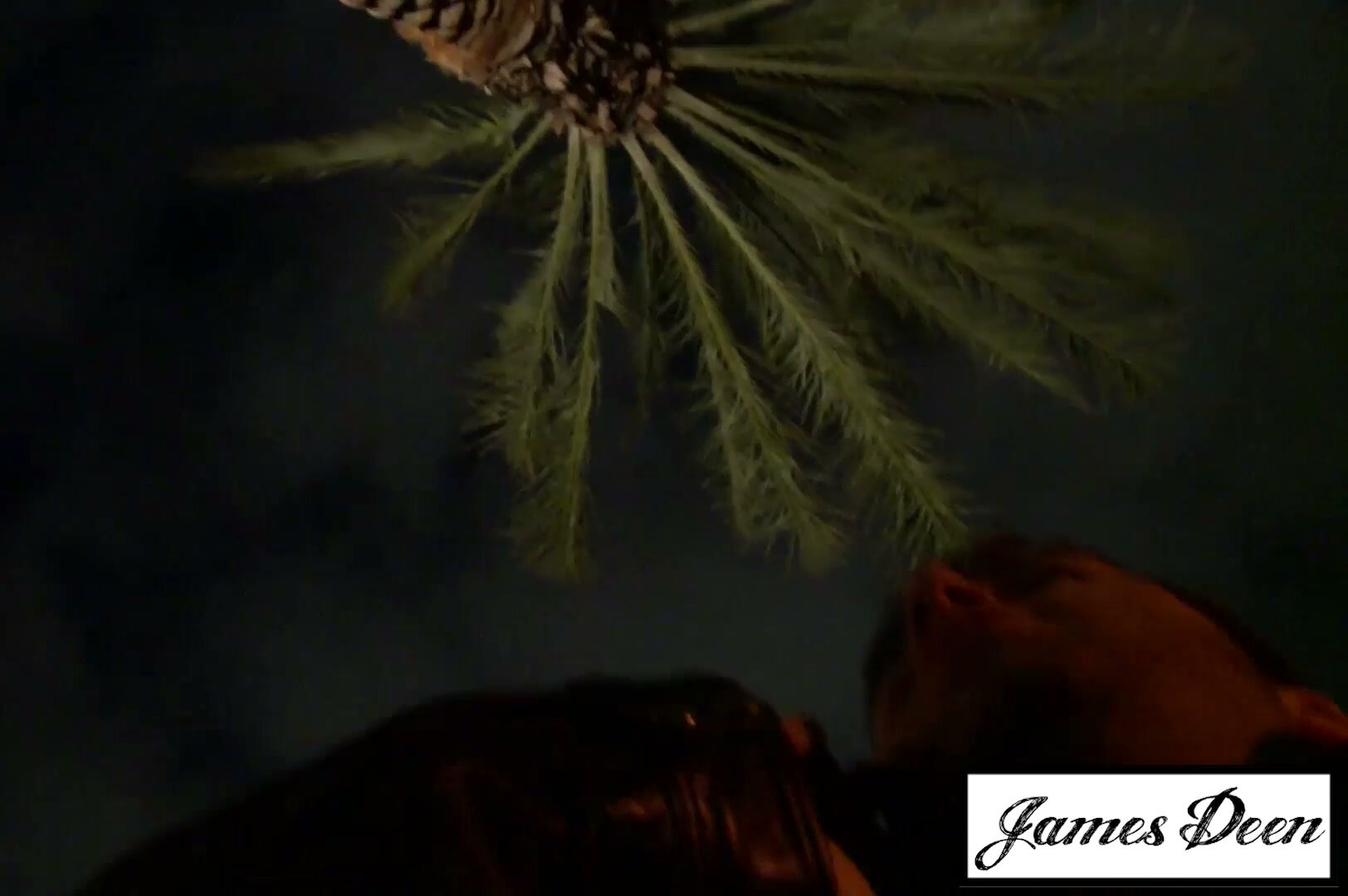 Anikka Fucks James Deen