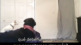 Movie Digital World sub