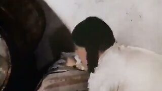 Janine sensacional Sub español