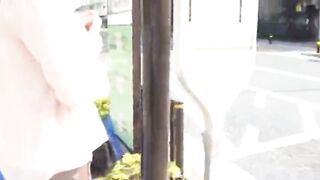BUS JAPONESA