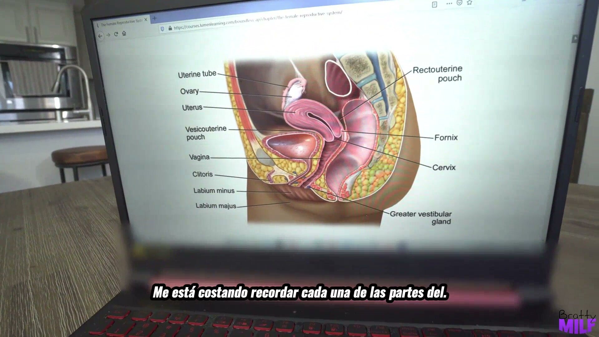 La madrastra imparte educación sexual - Jennifer White